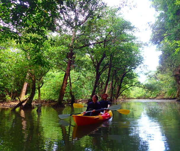 activity_detail_image