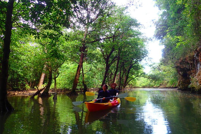 Ishigaki Mangrove Forest Kayak or SUP & Phantom Island Snorkeling Tour