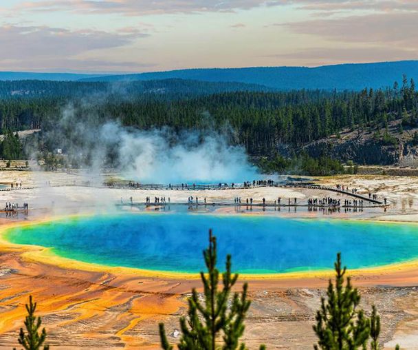 activity_detail_image