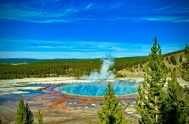 [요한투어] [4박5일 VIP 고급호텔] 라스베가스 출/도착: 옐로우스톤 + 자이언캐년 + 베어월드 투어