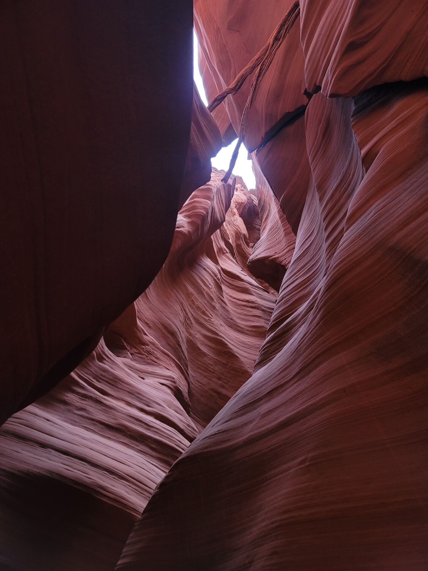 [요한투어] [1박2일 VIP 고급호텔] 모뉴먼트 & 그랜드캐년 & 파웰호수 + 5대 캐년