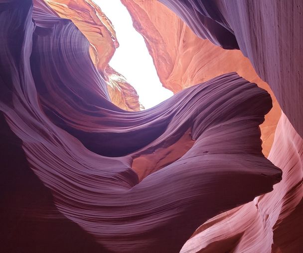 activity_detail_image