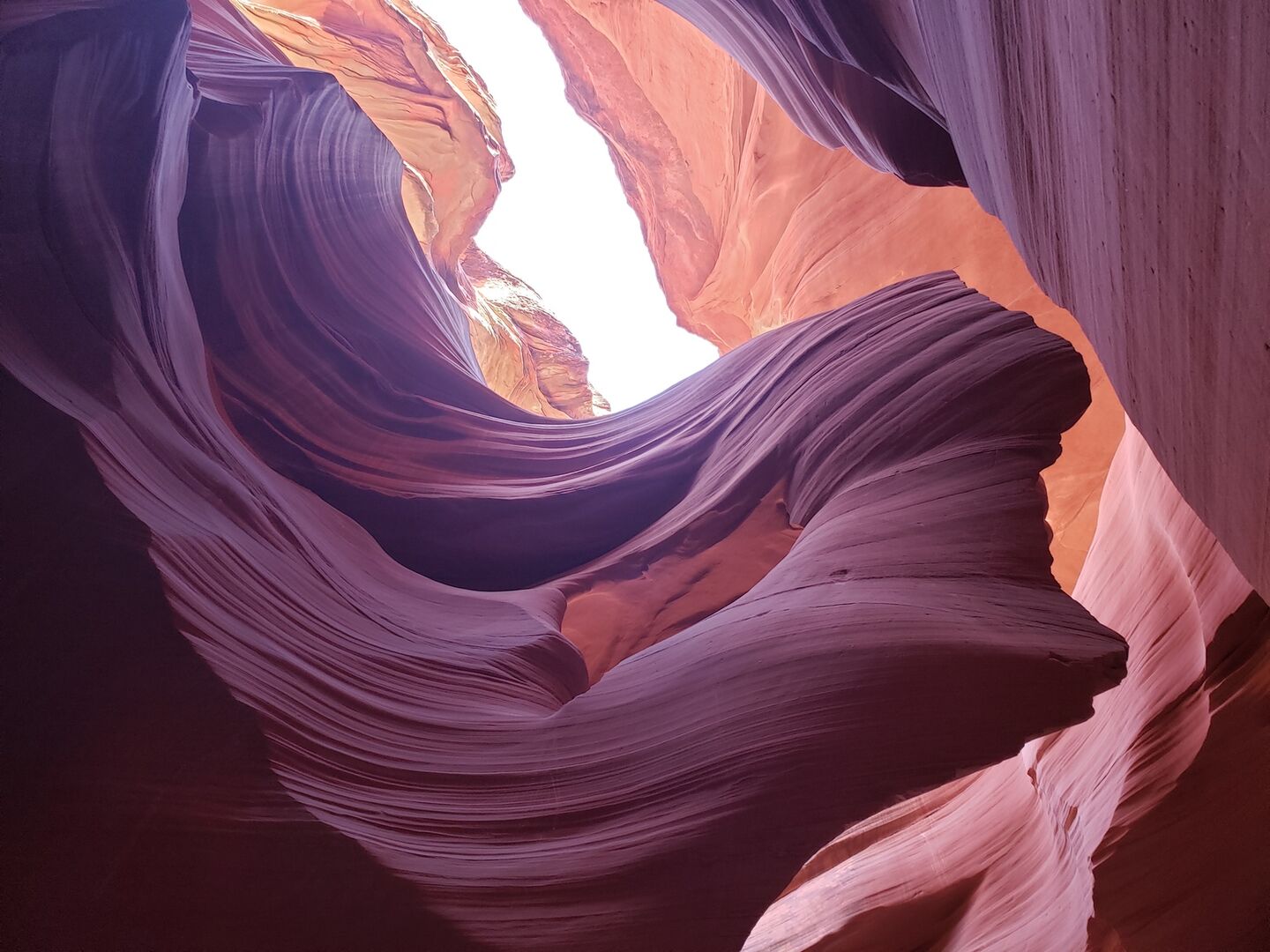 [벨라투어] [당일투어] 그랜드캐년 & 엔텔롭캐년 & 홀슈밴드 스페셜 투어