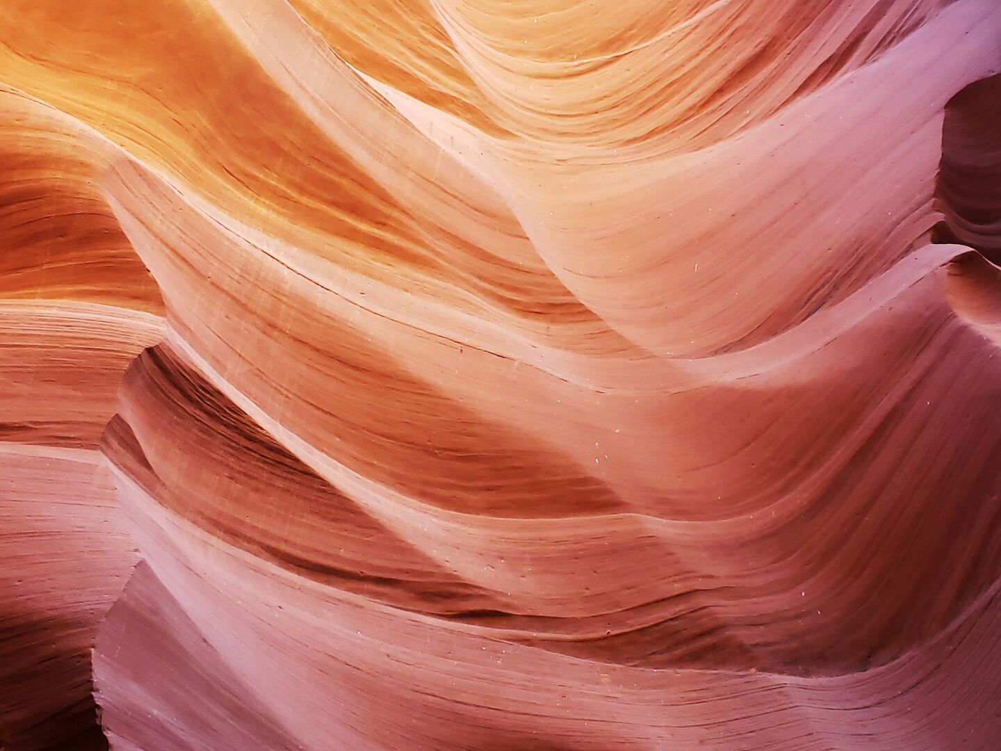 [벨라투어] [당일투어] 베스트 코스 엔텔롭캐년 & 홀슈밴드 투어