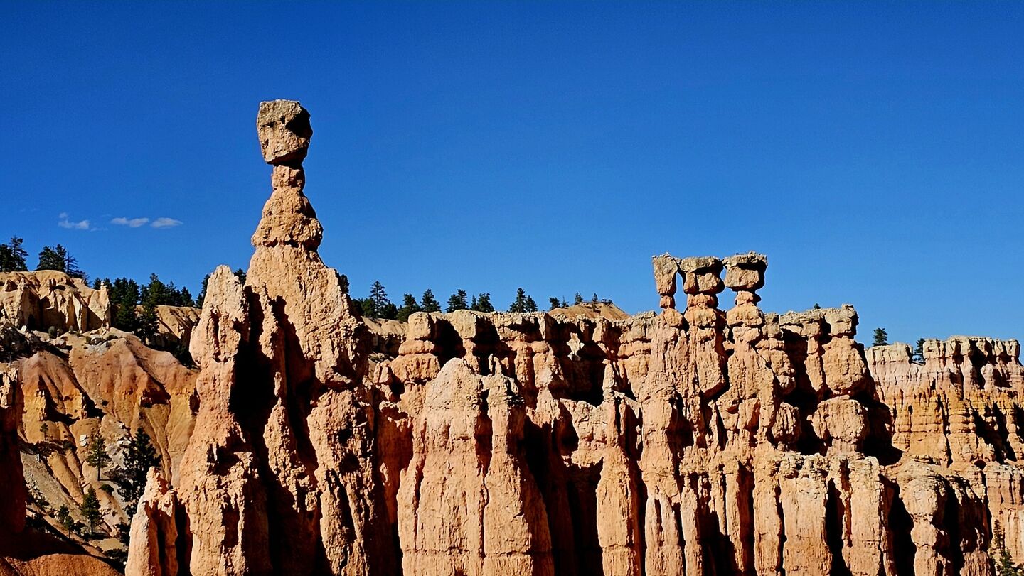 [벨라투어] [당일투어] 브라이스캐년 & 자이언캐년 하루 투어