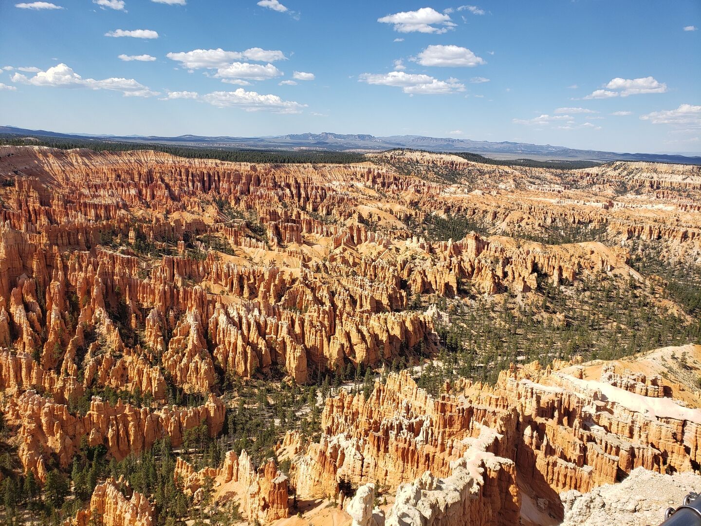 [벨라투어] [당일투어] 브라이스캐년 & 자이언캐년 하루 투어