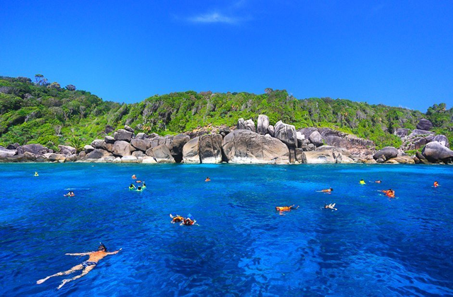 푸켓 시밀란 3섬 투어 (스노클링 2회 + 중식)