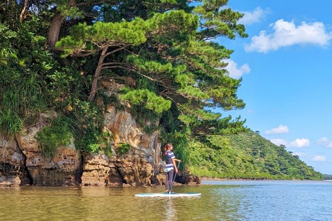 Iriomote Island SUP or Mangrove Kayak Tour