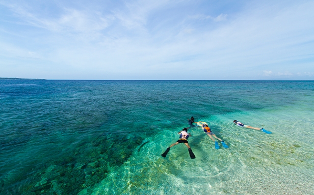 Ishigaki & Iriomote Island Mangrove SUP or Kayak & Barasu Island Snorkeling Tour