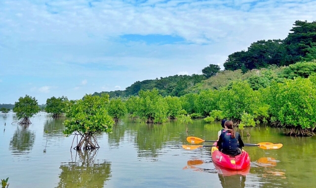 西表島＆由布島 マングローブSUP/カヤックツアー