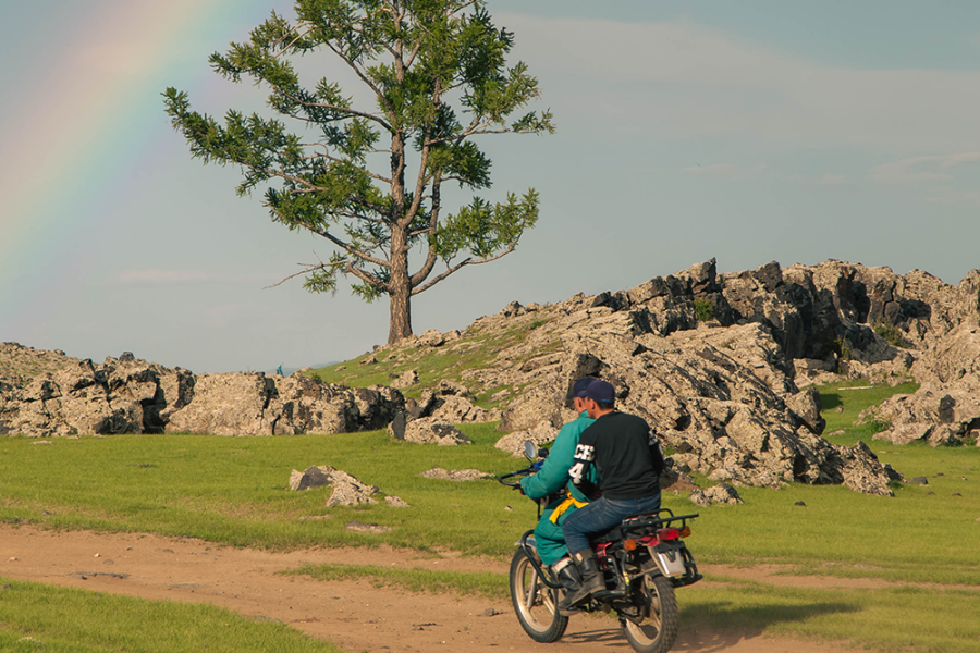 [특가] [5박6일] 몽골의 중부 스팟을 모두 담은 몽골 정복 투어