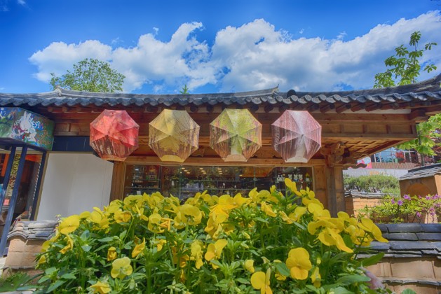 경기 가평 베고니아새정원 & 남이섬 일일 투어 (서울 출발)