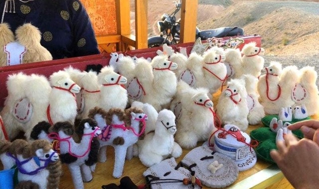 [노라투어] [5박6일] THE 자연 코스! 고비사막 5코스와 테를지 현대식 게르 체험 투어