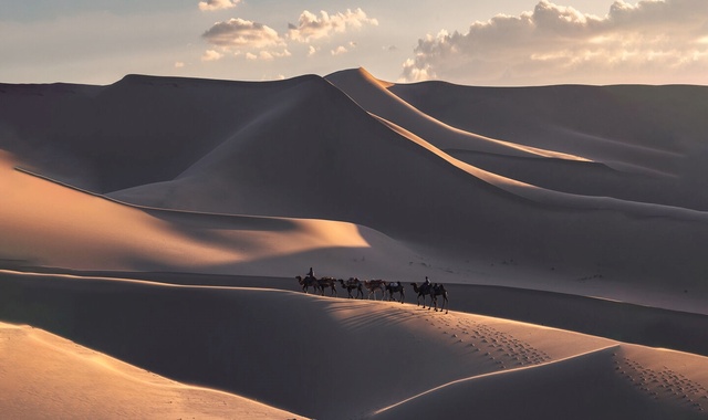 [노라투어] [4박5일] 몽골 고비사막 시그니처 코스 빠르게 고비를 만나는 투어