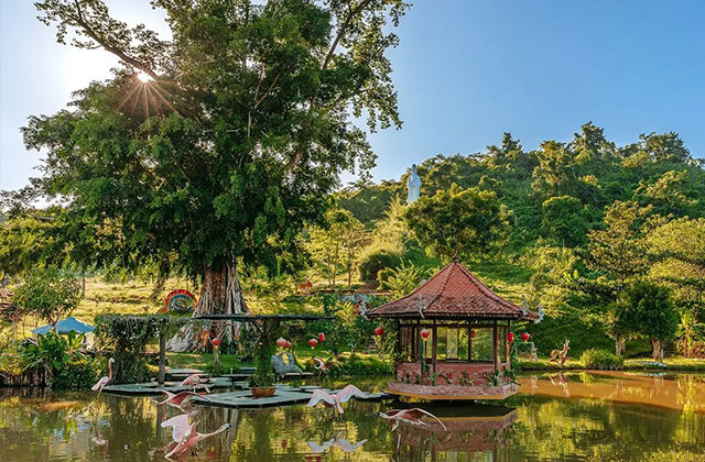 ナトラン出発 - ニントゥアン＆ヴィンハイ湾近郊ツアー（ブドウ農園、羊牧場）