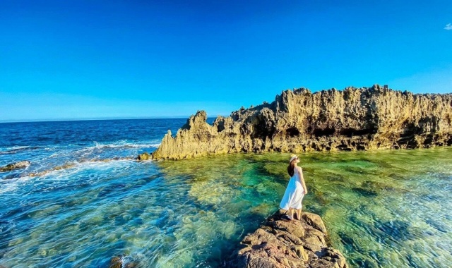 ナトラン出発 - ニントゥアン＆ヴィンハイ湾近郊ツアー（ブドウ農園、羊牧場）