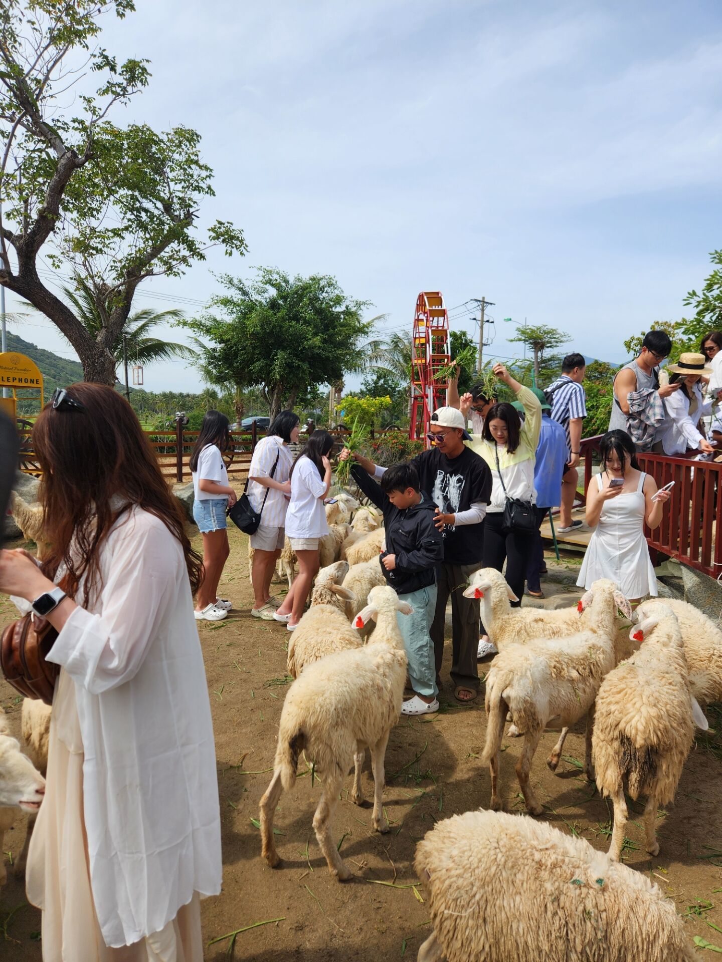[산티아고] 나트랑 출발: 판랑 가성비 짧은 코스 반나절, 선셋 투어 (지프 탑승, 모래썰매 체험 포함)