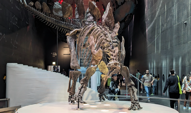 [쫑픽] 런던 자연사 박물관 시그니처 투어