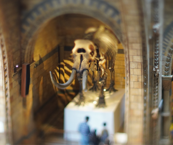 activity_detail_image