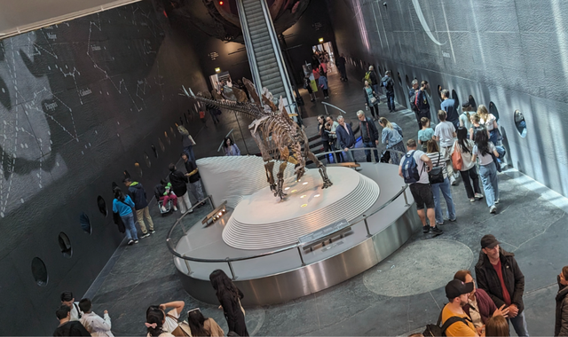 [쫑픽] 런던 자연사 박물관 시그니처 투어