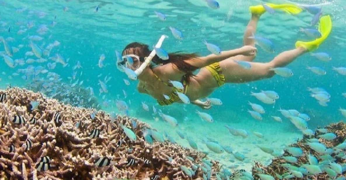 다낭&호이안 출발: 참섬 스노클링 호핑 투어 (WAUG Exclusive)