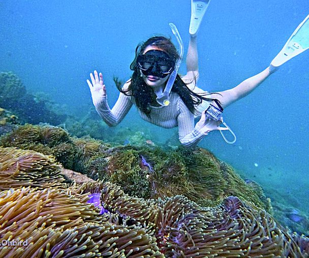 activity_detail_image