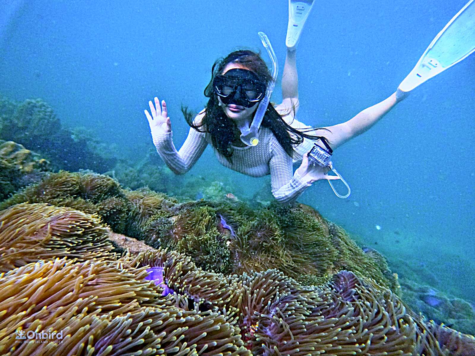 フーコック・スキューバダイビング初心者ツアー
