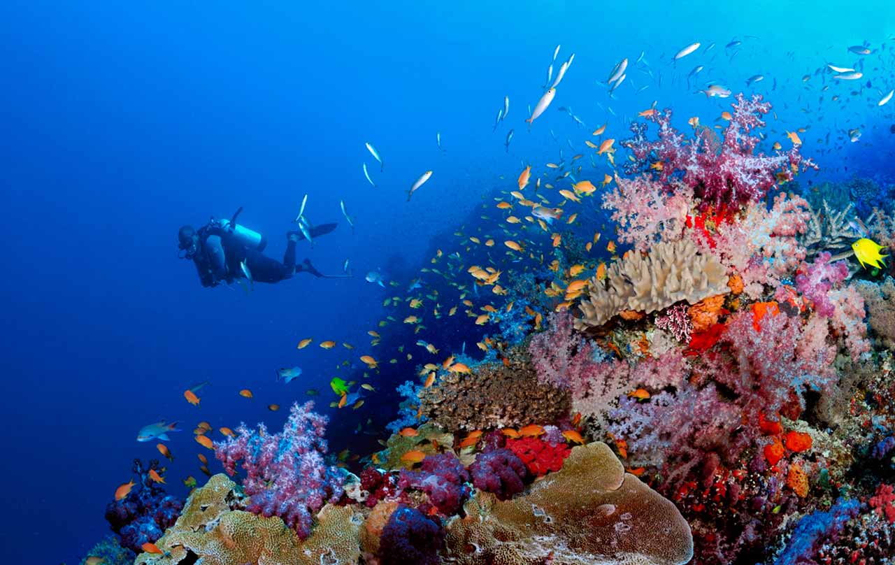 フーコック・スキューバダイビング資格保有者専用ツアー