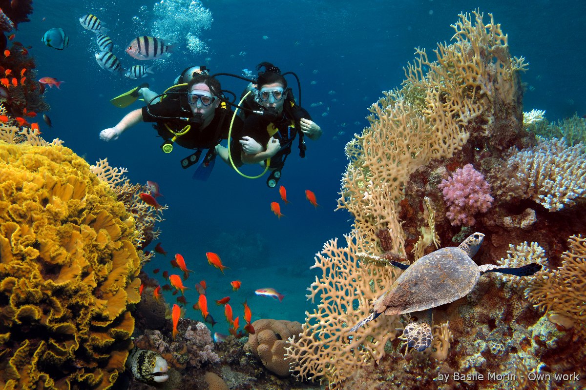 フーコック・スキューバダイビング資格保有者専用ツアー