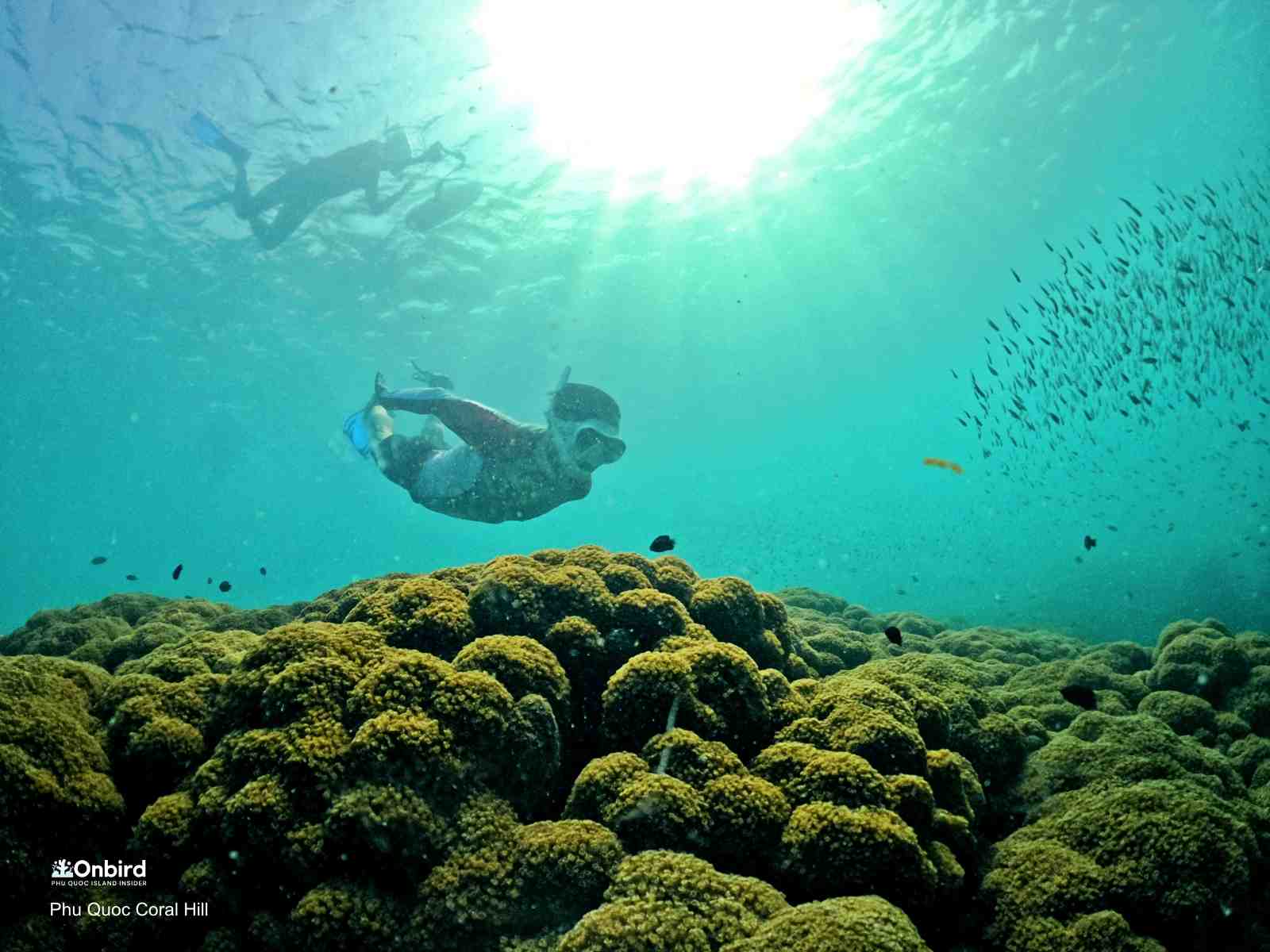 フーコック・北部サンゴ探検シュノーケリング少人数グループツアー