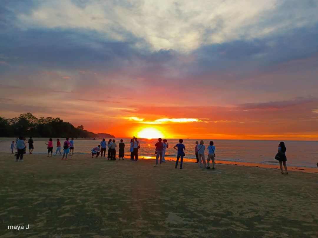 코타키나발루 베링기스 까왕 반딧불 투어