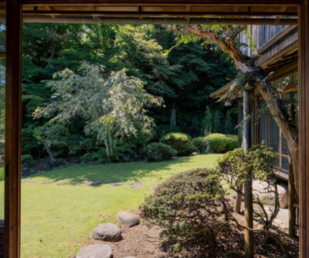 activity_detail_image