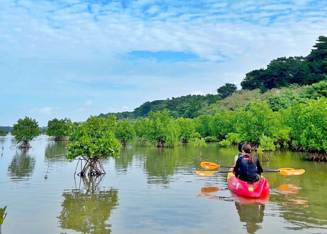 Iriomote Island & Yubu Island: Mangrove SUP/Kayak Tour
