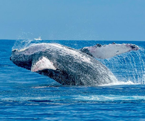 activity_detail_image