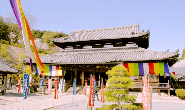 大阪＆京都出発：京都桜一日ツアー（三保美術館、三井寺）