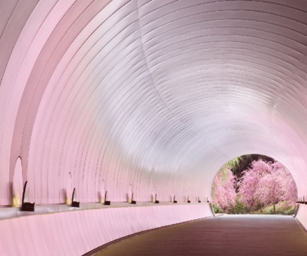 activity_detail_image