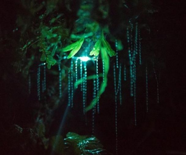 activity_detail_image