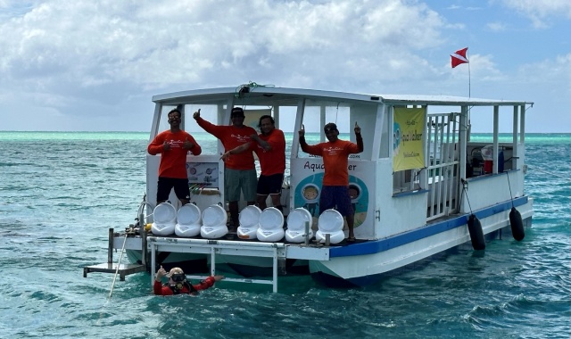 [괌 비키니 아일랜드 클럽] 비키니 아일랜드 투어 & 스노클링 & 바나나보트 패키지