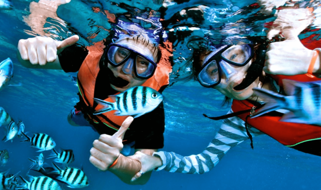 [괌 비키니 아일랜드 클럽] 비키니 아일랜드 투어 & 스노클링 & 바나나보트 패키지