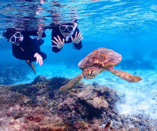 activity_detail_image