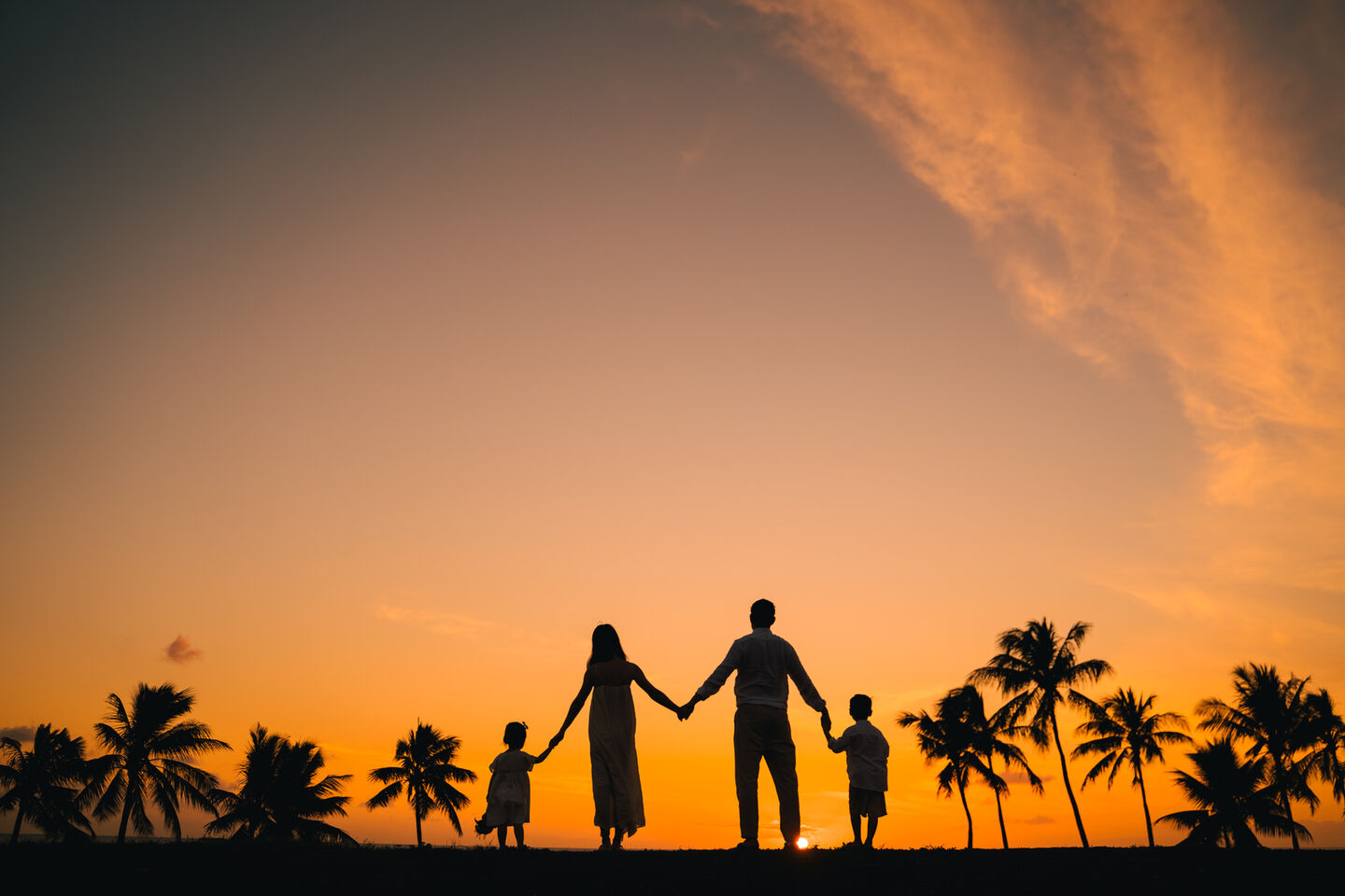 [무료픽업] 하와이 선셋공원 패밀리 스냅 사진 by 아넬라니 (90분)