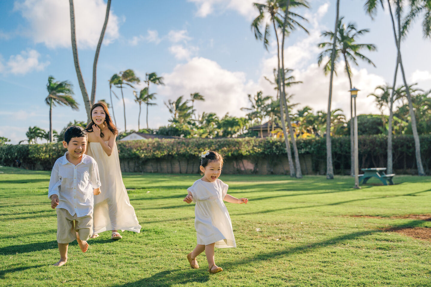 [무료픽업] 하와이 선셋공원 패밀리 스냅 사진 by 아넬라니 (90분)