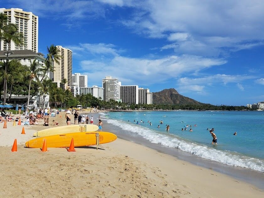 하와이 단독 공학 픽업: 1.오아후 시내투어 혹은 2. 하와이 로컬 풍경 핵심 투어