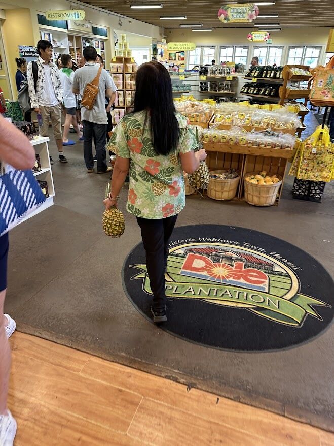 하와이 오아후 북부 노스 쇼어 탐방 & 와이켈레 아울렛 투어