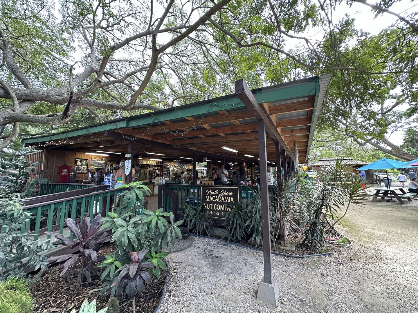 하와이 오아후 북부 노스 쇼어 탐방 & 와이켈레 아울렛 투어