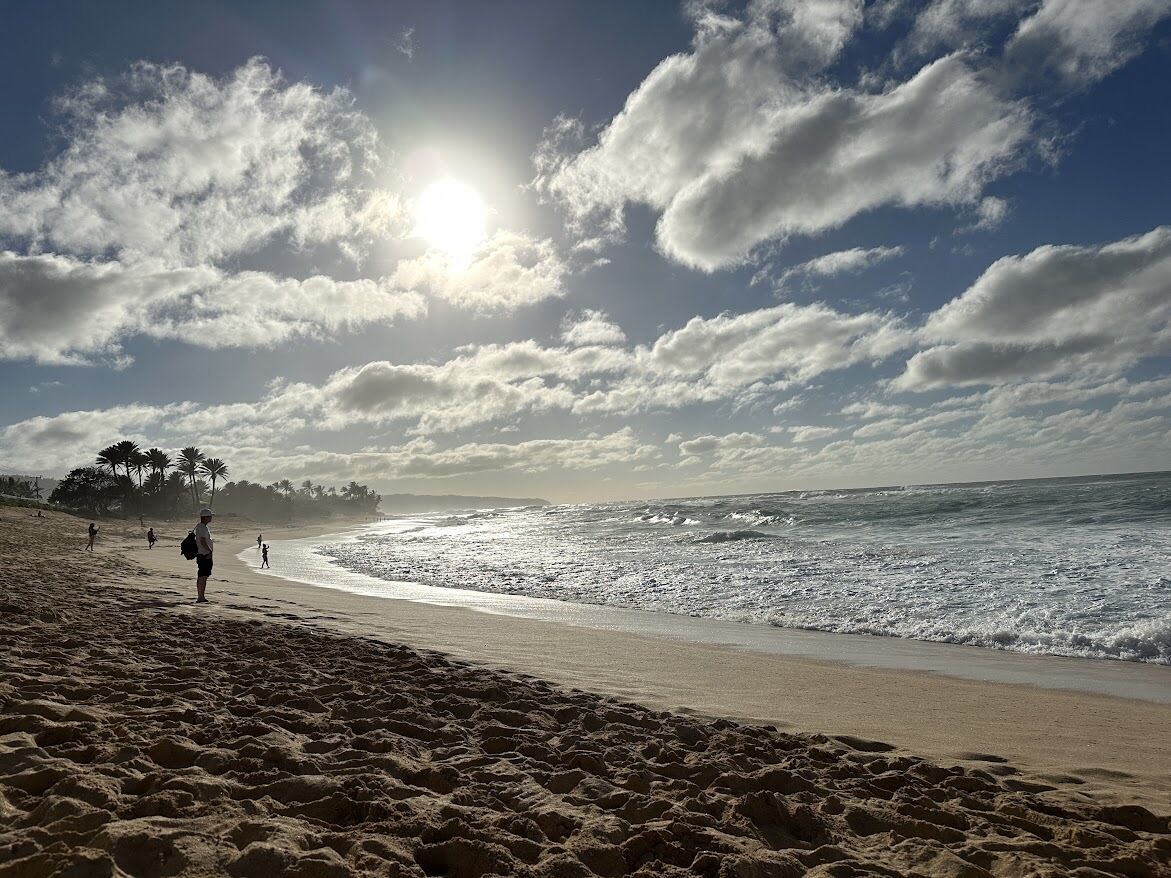 하와이 쓰리고 섬 투어! 처음 만나도 신나게!