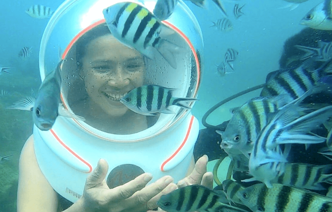 푸꾸옥 남부 혼로이 씨워킹 체험 (WAUG Exclusive)