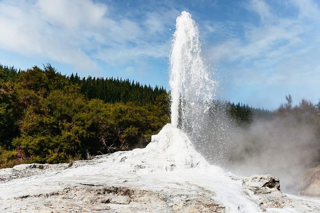 Waiotapu: Thermal Park & Lady Knox Geyser Ticket