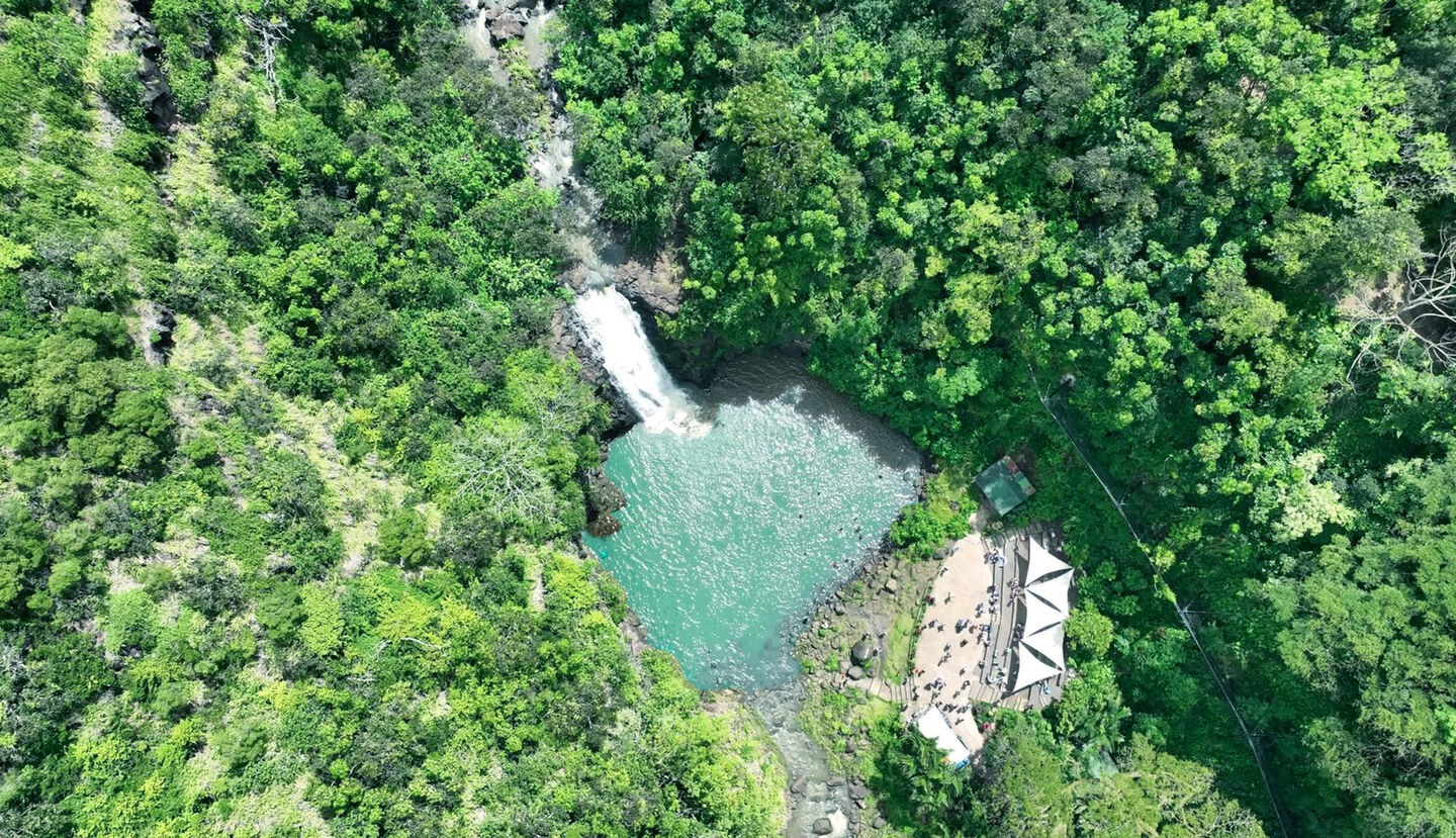 하와이 노스쇼어 와이메아 폭포 하이킹 & 수영 투어 (돌플랜테이션, 그린월드커피농장)