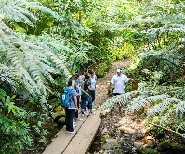 activity_detail_image